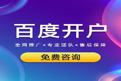 案例分享：SEM推广助力电商快速崛起